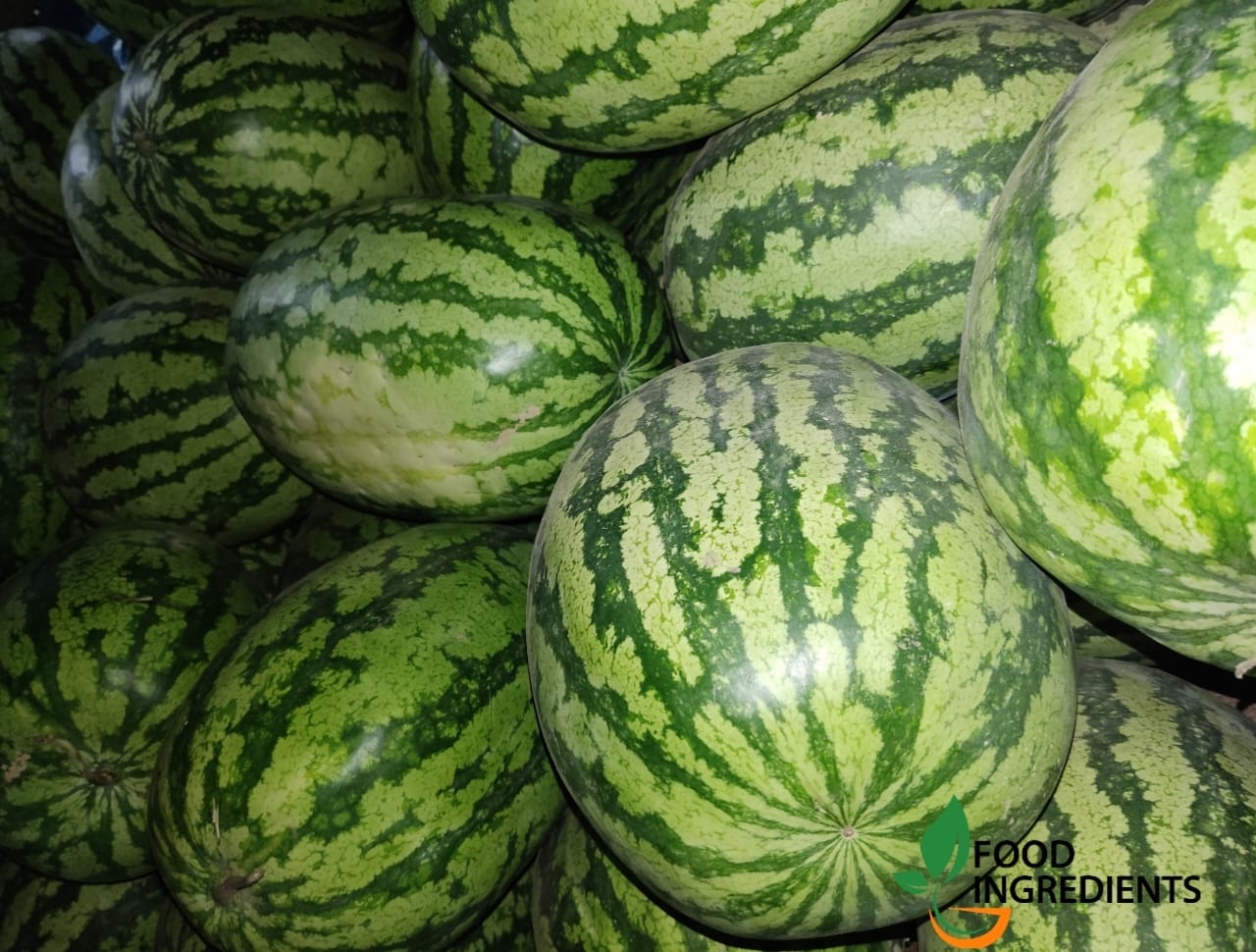 তরমুজ সম্পর্কে আপনার যা জানা দরকার, Everything You Need to Know About Watermelon