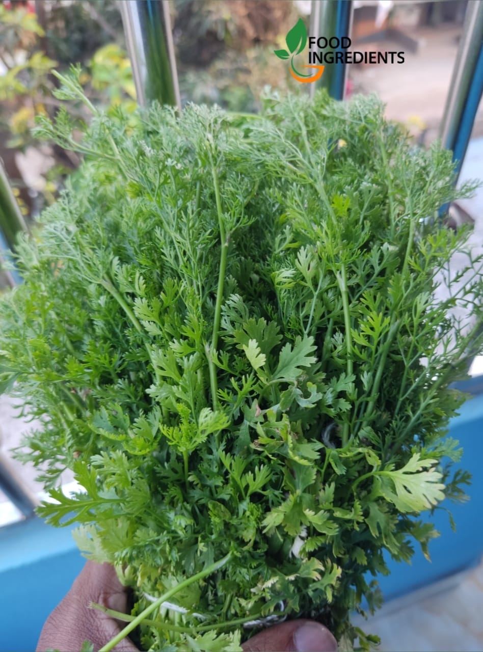 ধনেপাতা সম্পর্কে আমরা যা জানি, What we know about coriander leaves
